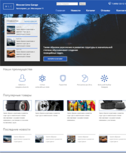 Интернет магазин шин и дисков